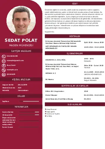Maden Mühendisi Cv Örnekleri cv indir